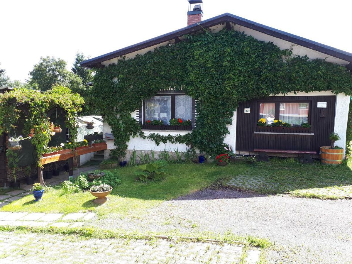 Ferienwohnung Kupfer Schmiedefeld am Rennsteig Eksteriør bilde